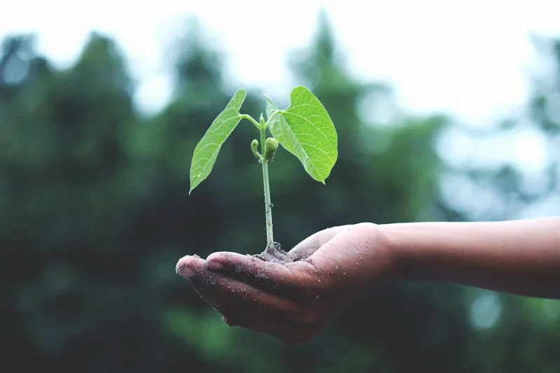 ISO 14001 - Environmental management
